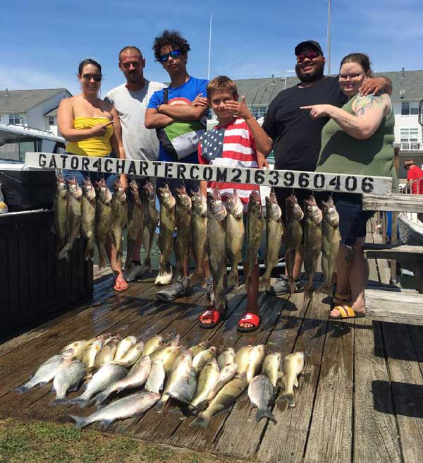 Lots of walleye on this guided trip