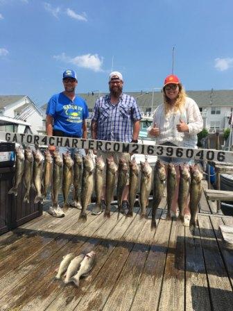 Lots of Walleye - Lake Erie