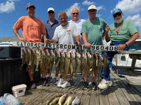 Mid August Walleye - Lake Erie